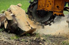 Stump Grinding and Removal Chesapeake VA
