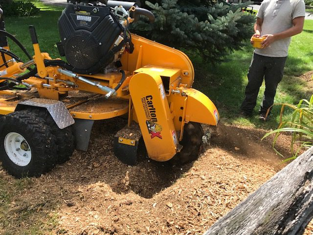 Stump Grinding and Removal in Chesapeake, VA